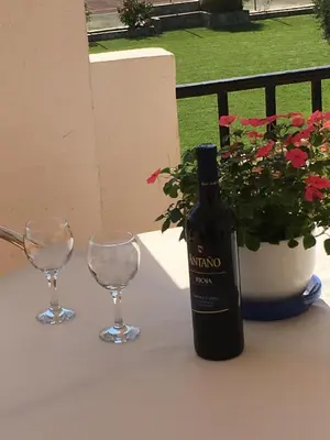 Bebidas en Apartamentos Turísticos Los LLanos