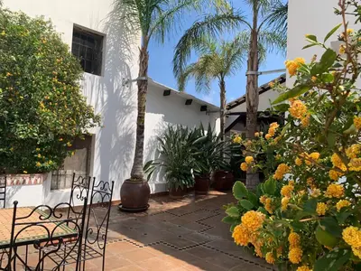 Jardín al aire libre en Andalucian Villa with moroccan touch and pool
