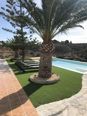 Piscina en o cerca de Los Palmitos