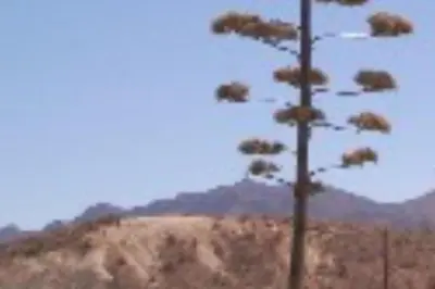 Paisaje cerca de esta villa