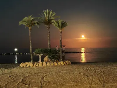 Paisaje cerca de este apartamento