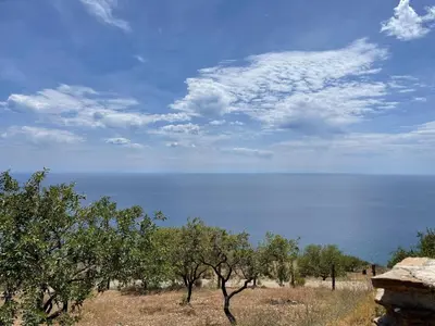 Paisaje cerca de esta casa o chalet