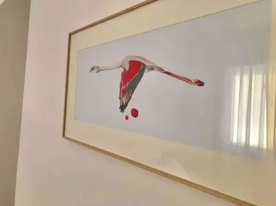 Plano de Sentirse en casa lejos de casa. Apartamento 2.