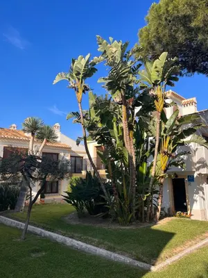 Jardín al aire libre en VERA SUN LUXURY new!!! 89 en Vera Coast