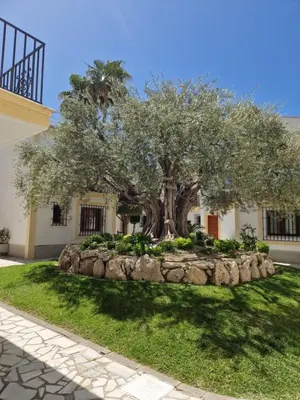 Jardín al aire libre en Apartamento ESQUINA VERDE en Vera Coast