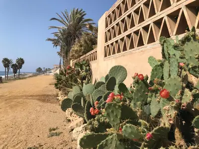 Plano de Lancón Boutique- Precioso apartamento a 150 m a pie de playa Lancón- Carboneras
