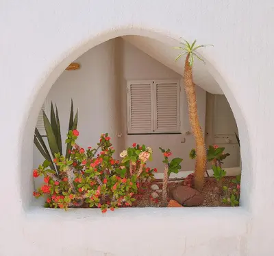 Jardín al aire libre en Pita 1