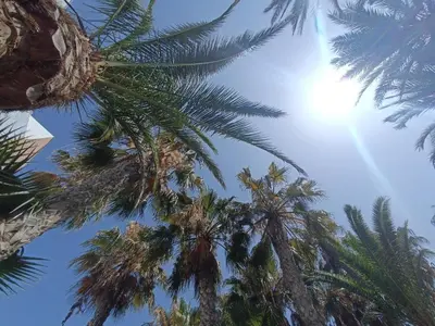 Paisaje cerca de este apartamento