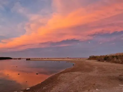 Paisaje cerca de este apartamento