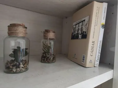Biblioteca en el apartamento