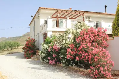 Edificio en el que se encuentra el bed & breakfast