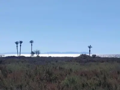 Paisaje cerca de este apartamento