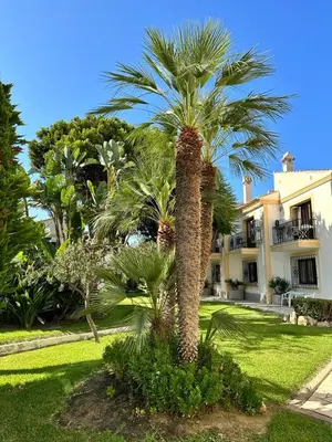 Jardín al aire libre en Casa de Familia Vera Coast