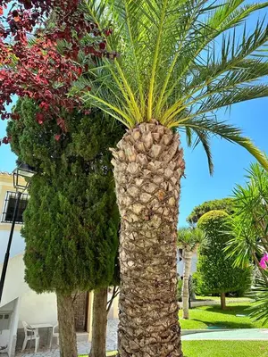 Jardín al aire libre en Casa de Familia Vera Coast