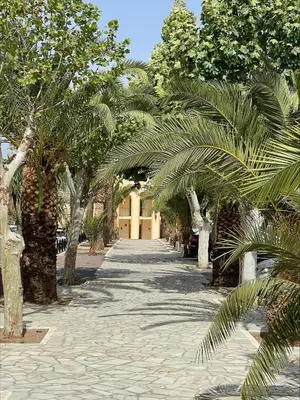 Jardín al aire libre en Casa Pap