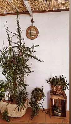 Plano de La casita Azul