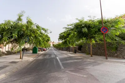 El barrio de los alrededores o un barrio cerca de este apartamento