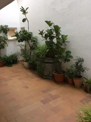 Jardín al aire libre en Estudio SAN JOSÉ