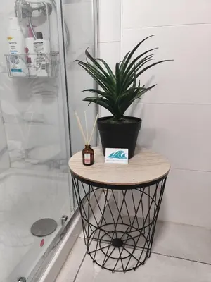 Un baño de SUDAMERICA38