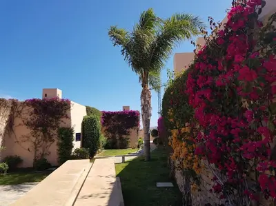 Jardín al aire libre en Sea view cozy apartment La Tanita