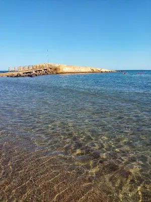Paisaje cerca de este apartamento