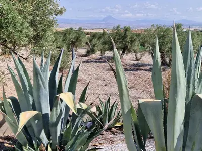 Paisaje cerca de este apartamento