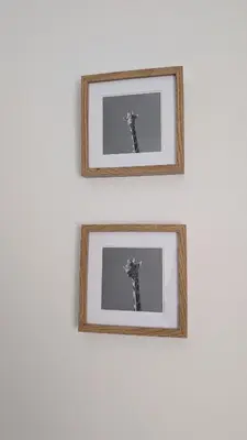 Plano de Casa Trastévere
