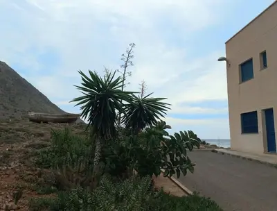 Paisaje cerca de esta casa o chalet
