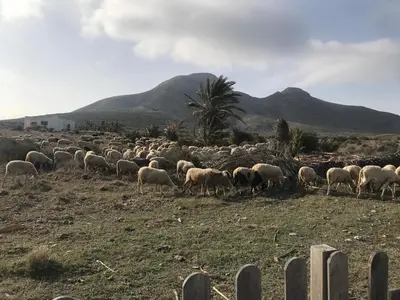 Paisaje cerca of this country house