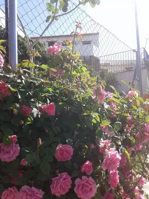 Jardín al aire libre en farmhouse la Curiosa