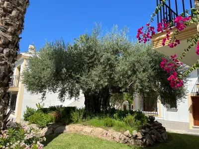 Jardín al aire libre en Luna Dorada Vera Playa- bajo