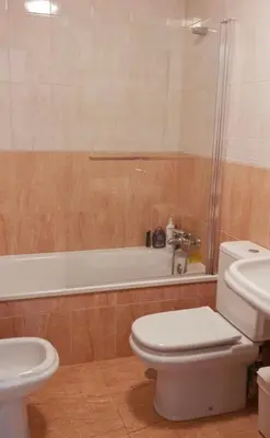 Un baño de Alta Entinas