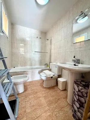 Un baño de Alta Entinas