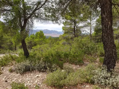 Paisaje cerca de esta casa o chalet