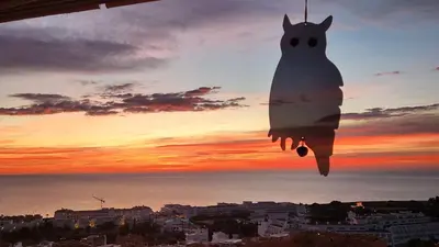 Amanecer o atardecer desde el apartamento o alrededores