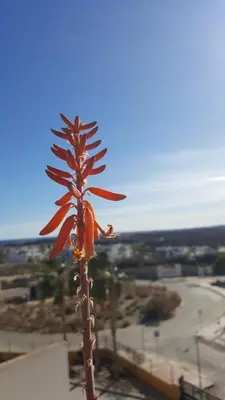 Paisaje cerca de este apartamento