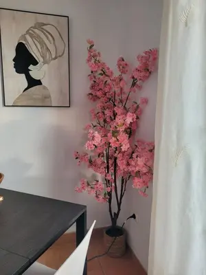 Plano de Casa PePe