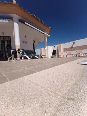 Edificio en el que se encuentra la casa o chalet