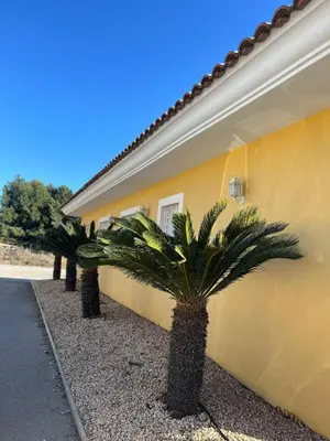 Edificio en el que se encuentra la casa o chalet