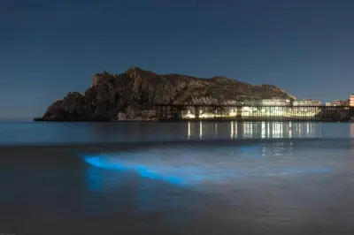 Paisaje cerca de este apartamento