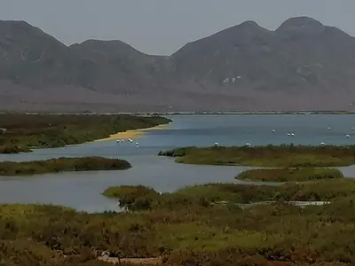 Paisaje cerca de este apartamento