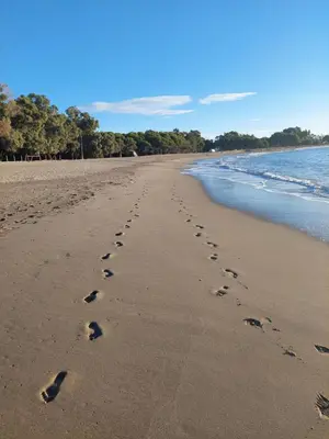 Paisaje cerca de este apartamento