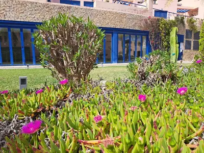 Jardín al aire libre en roomwithview casa marco