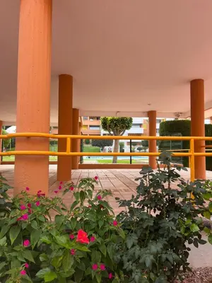 Jardín al aire libre en Apartamento El Palmeral 1ª línea