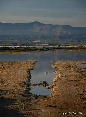 Paisaje cerca de este apartamento