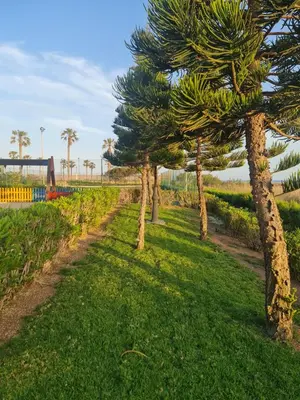 Jardín al aire libre en Villa Romana con piscina privada y vistas al jardín