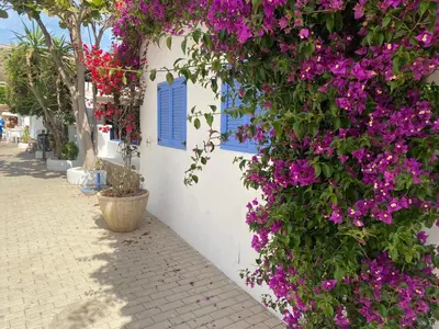 Jardín al aire libre en Apartamento Centro Aguamarga