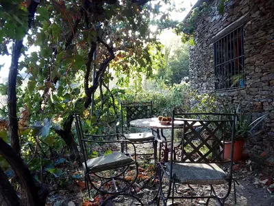Jardín al aire libre en Cortijo Buena Vista