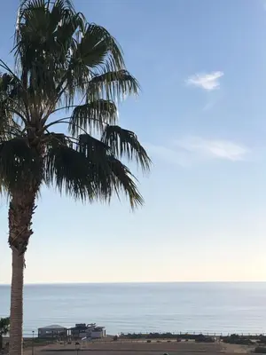 Paisaje cerca de este apartamento