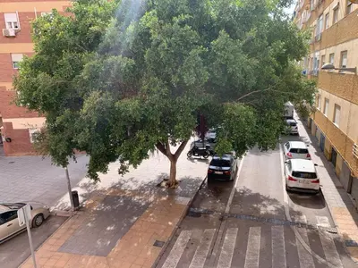 El barrio de los alrededores o un barrio cerca de este apartamento